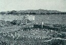 Glastonbury Lake Village: Image 4